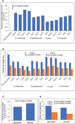 Aggressiveness and mycotoxin profile of Fusarium avenaceum isolates causing Fusarium seedling blight and Fusarium head blight in UK malting barley